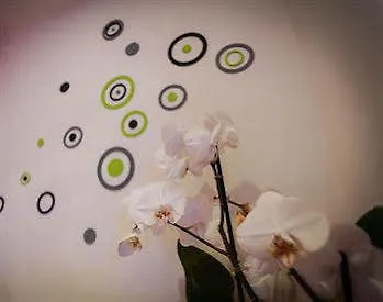 Pensjonat Hotel Chroma Italy - Chroma Octho